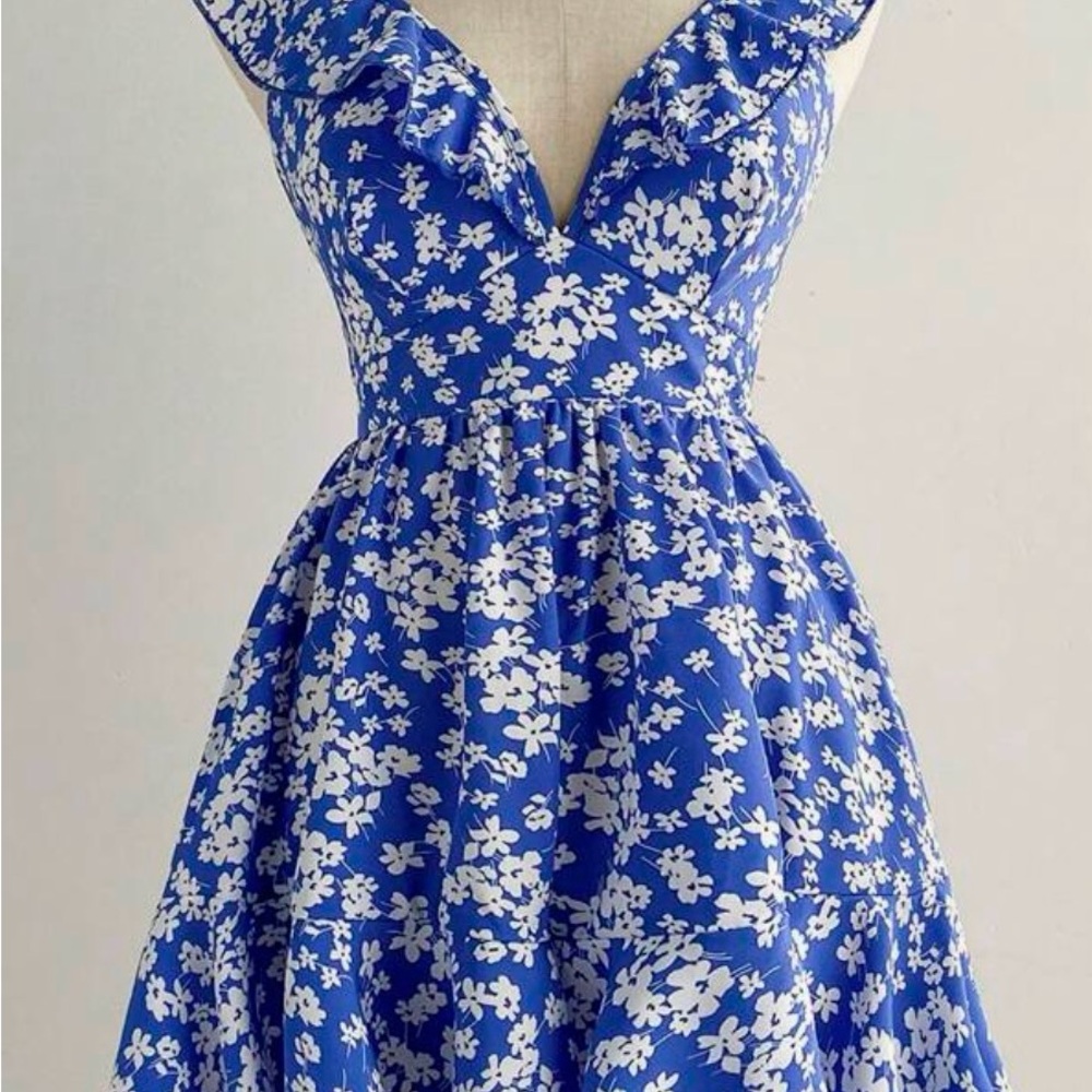 Floral Blue and White Dress
